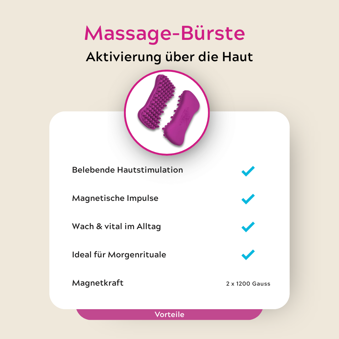 Anregende Massagebürste